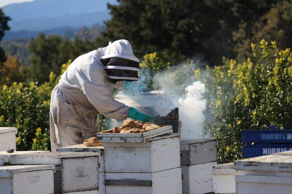 Beekeeper
