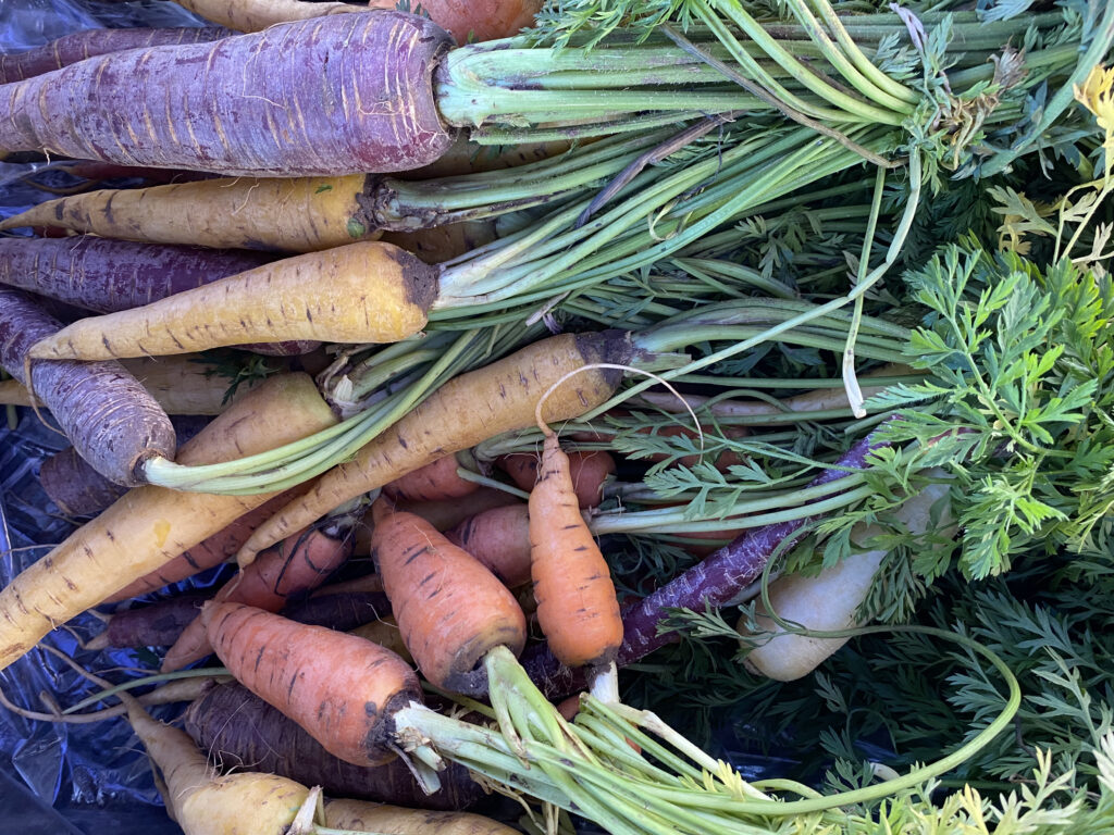 carrots