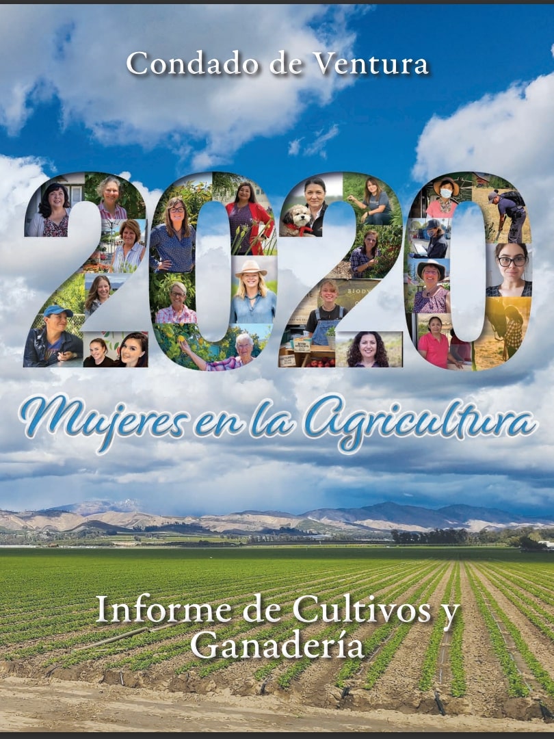 CR 2020