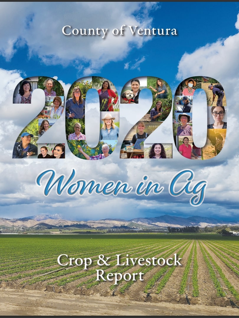 CR 2020