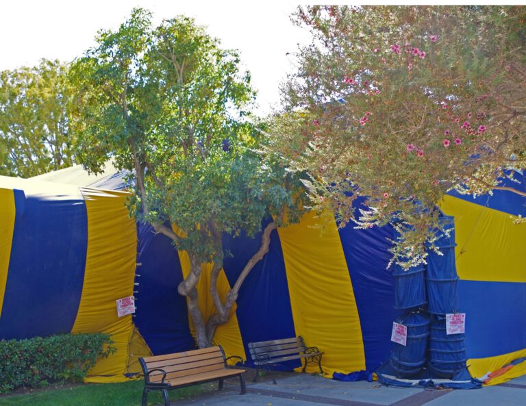House fumigation