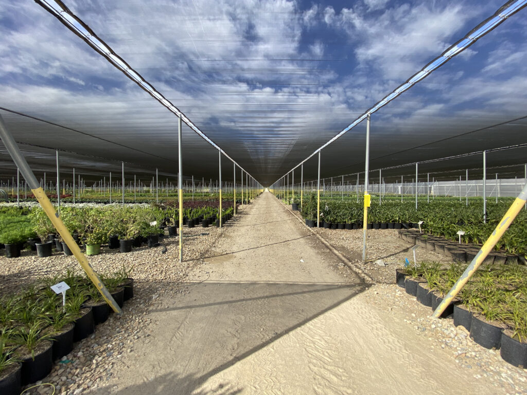 Nursery