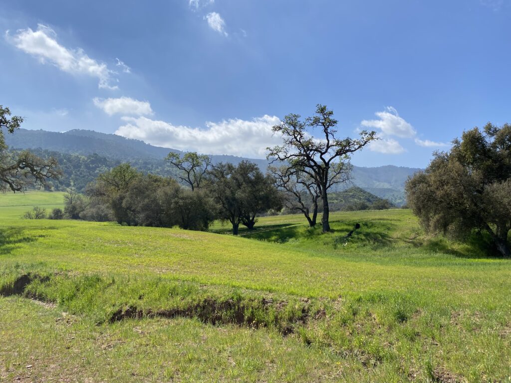 Scenery