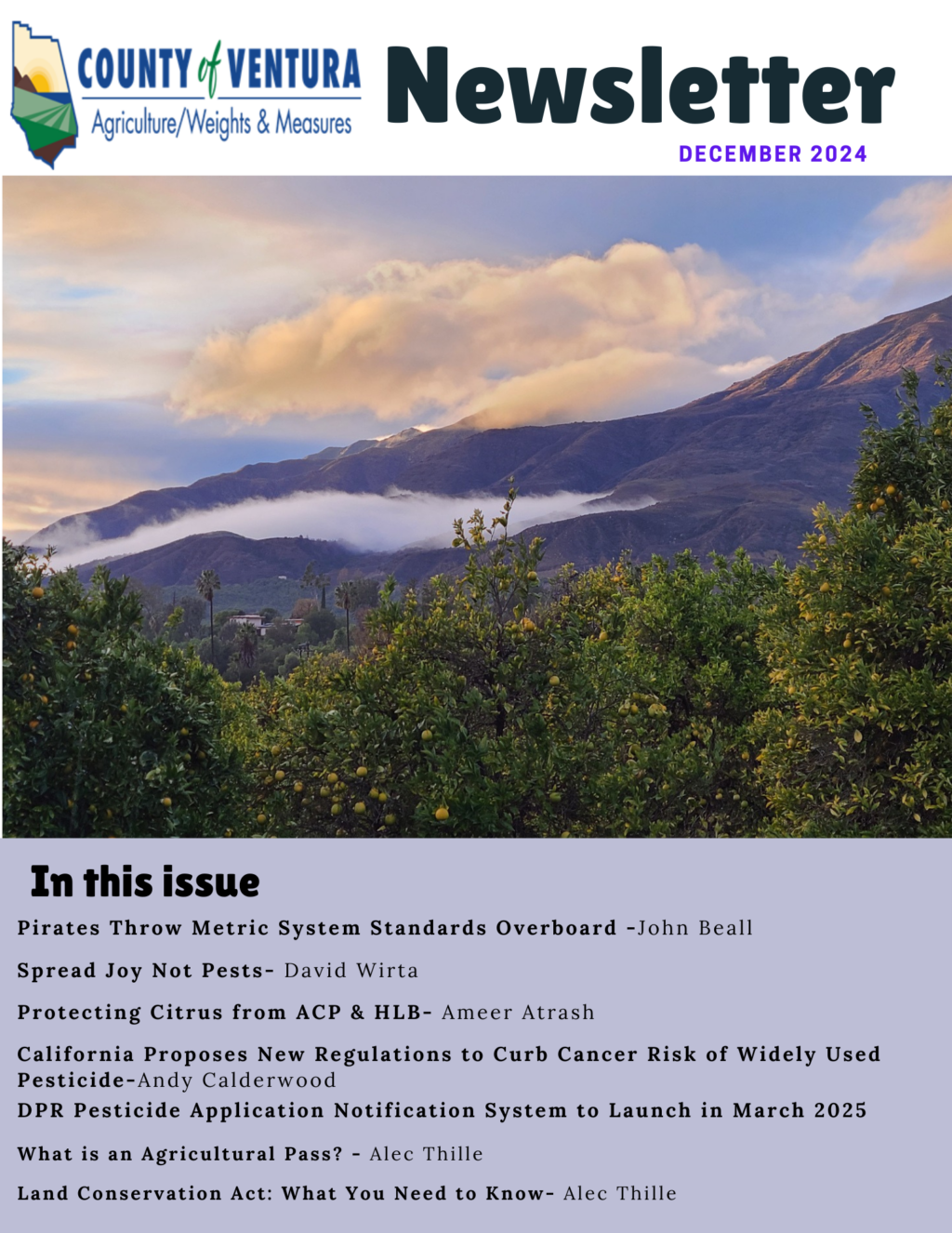 Newsletter 12/24
