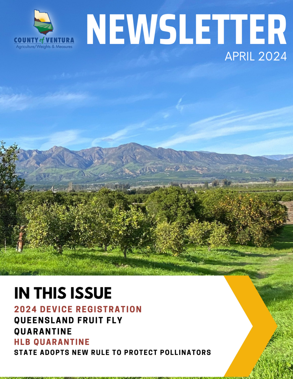 Newsletter 4/24