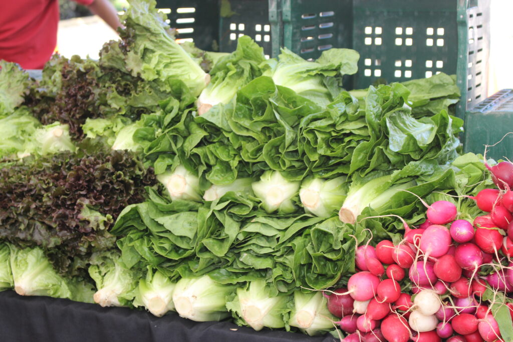Farmer's market